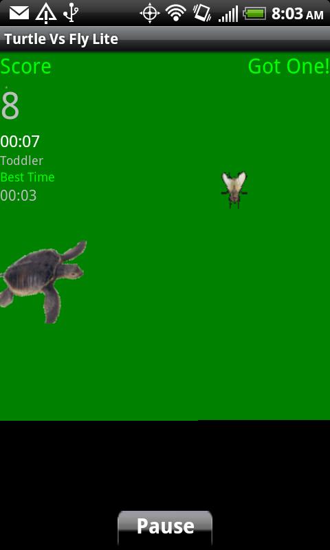 Turtle Vs Fly Lite截图3