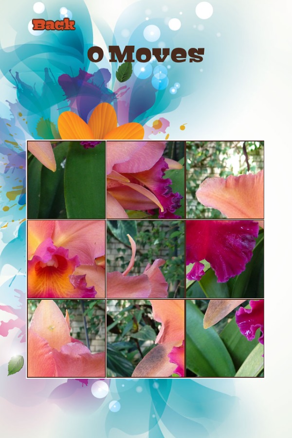 Orchid Flowers Puzzle截图4