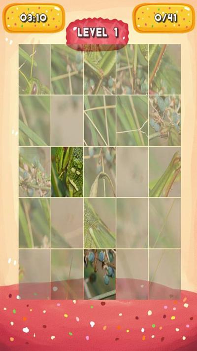 Grasshopper Jigsaw Puzzles截图4