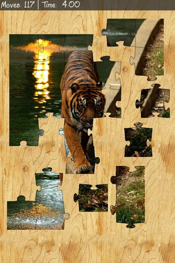 Picture Puzzle (Free Rotation)截图1