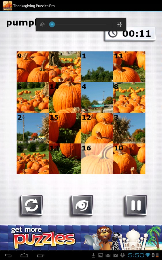 Thanksgiving Puzzles - FREE截图2