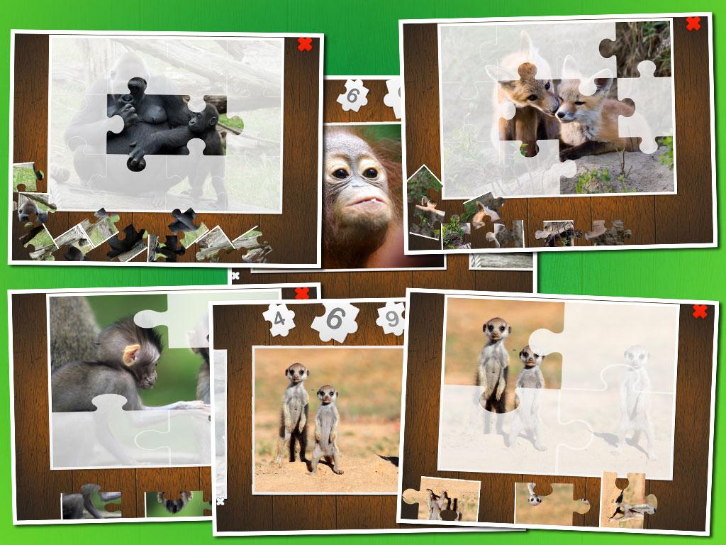 Baby animal puzzle截图4