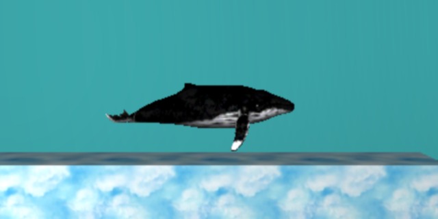 Sky Whale截图2