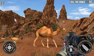 Safari Hunting Animal Shooting 3D截图4