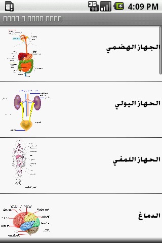 Arabic anatomy puzzles截图1