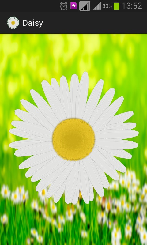 Daisy - the love o meter game截图1