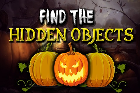 Find The Hidden Object截图1