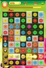 Jewel Flowers截图4