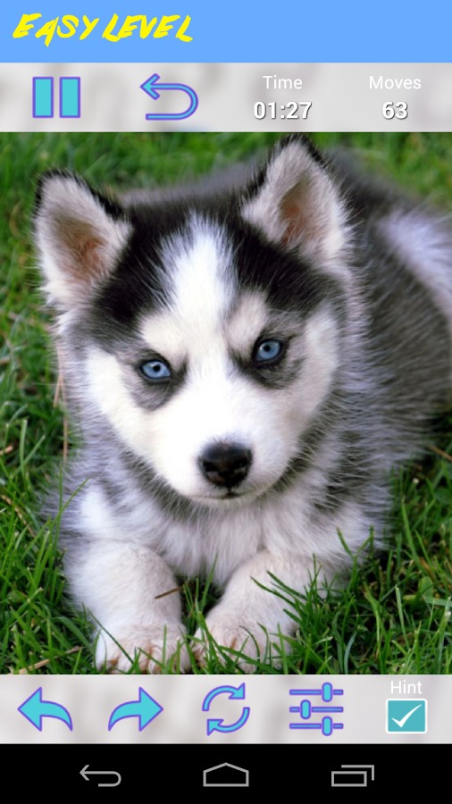 Husky Jigsaw Puzzle截图5