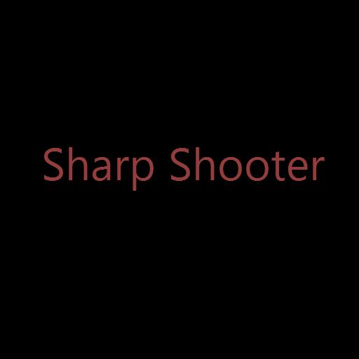 Sharp Shooter截图4