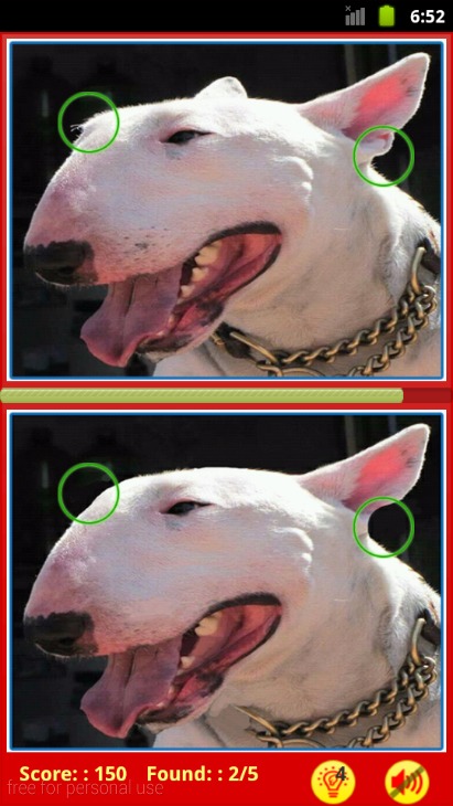 Bull Terrier: Find Differences截图2