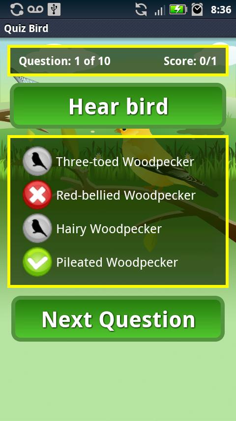 Quiz Bird Free截图3