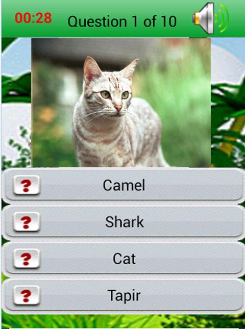 Kids Learning : Wild Animals截图1