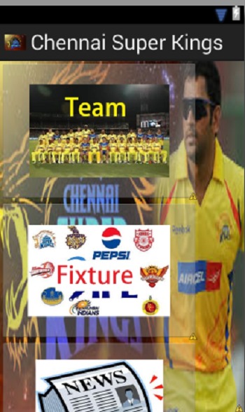 Chennai Super Kings 2014截图1