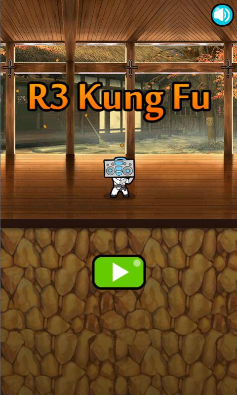 R3 Kung Fu截图2