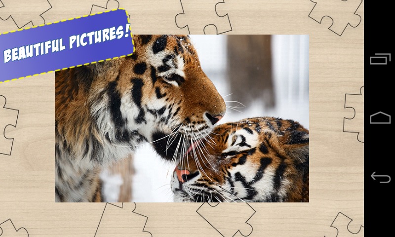 Free Big Cats Jigsaw Puzzle截图2