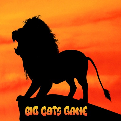 Free Big Cats Game截图1