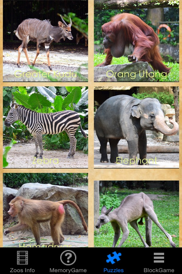 Zoo Animals Story截图3