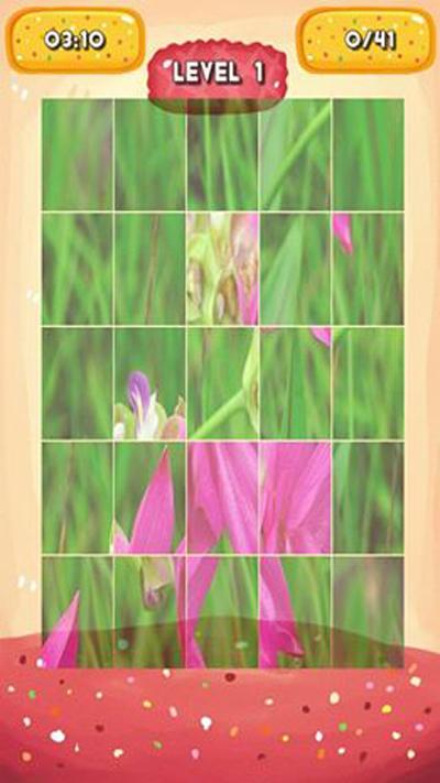 Siam Tulip Jigsaw Puzzles截图5