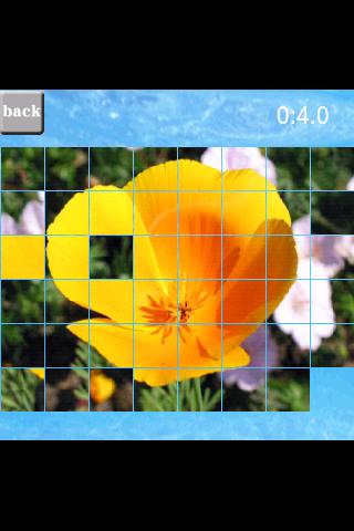 puzzle(flower)截图2