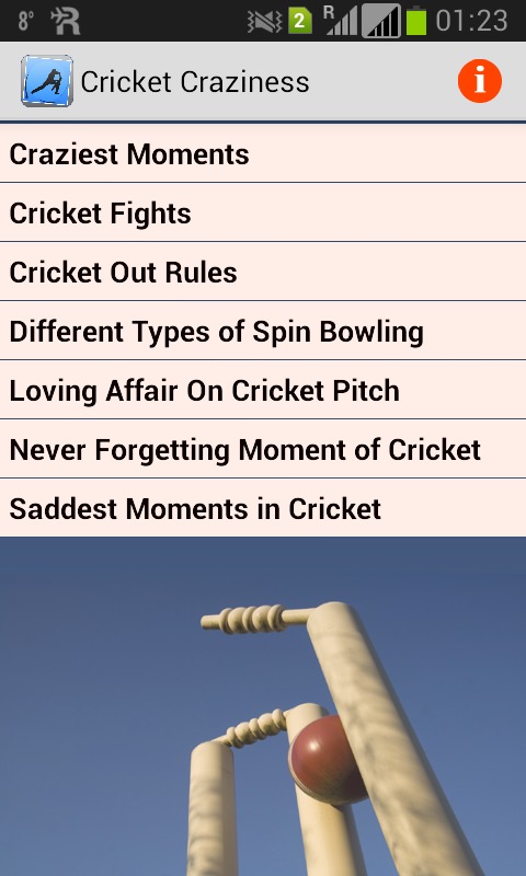 Cricket Craziness截图1