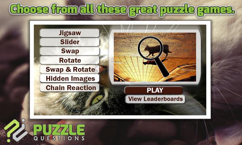 Free Cute Cats Puzzles截图1