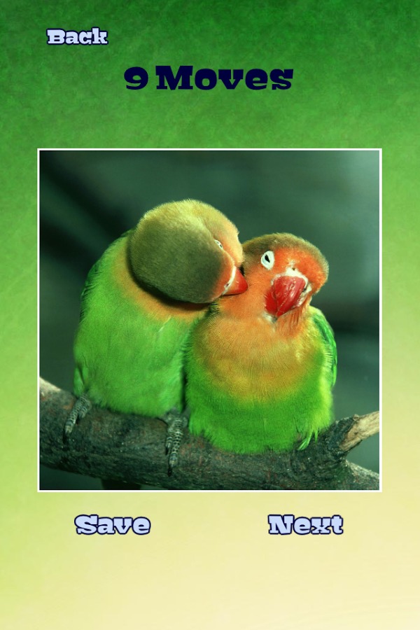 Bird Puzzles截图4