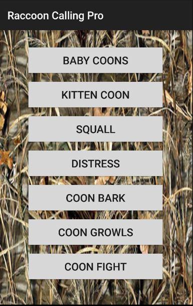 Raccoon Calling Pro截图1