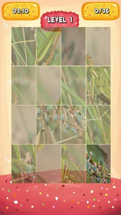 Grasshopper Jigsaw Puzzles截图3