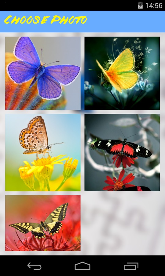 Butterflies Jigsaw Puzzle截图3