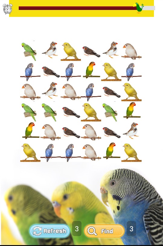 Pet Birds Game截图2