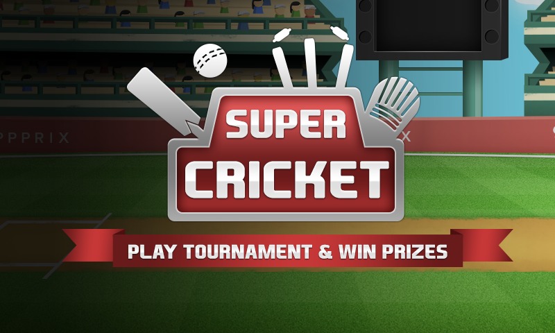 Super Cricket '14截图1