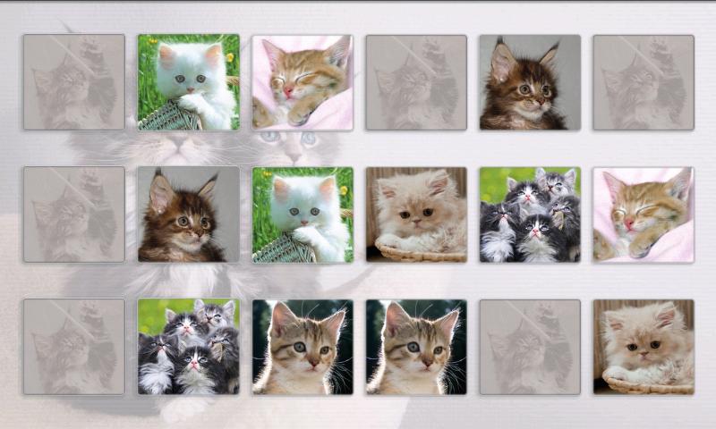 Cats Memory Game Free截图4