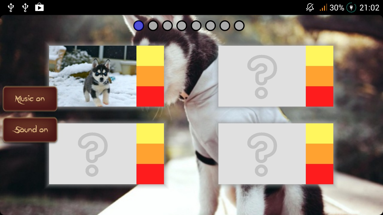 Husky Puzzle截图4