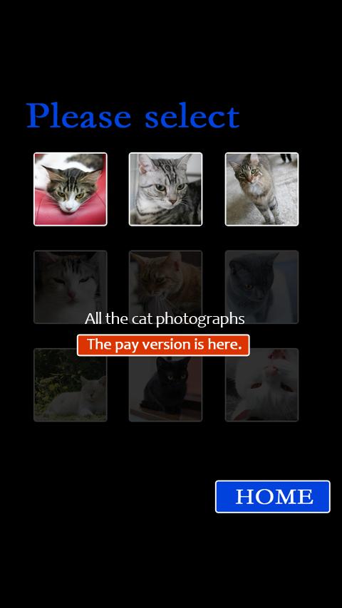 CAT15Puzzle free截图2