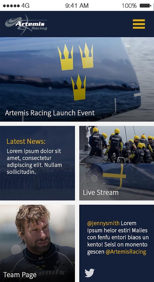 Artemis Racing截图3