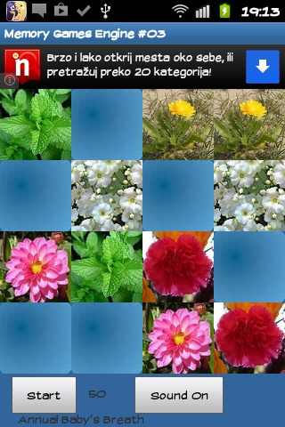 Memory game - Flowers截图2