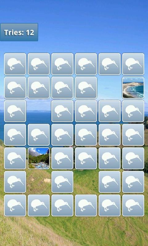 New Zealand Memory Game截图5