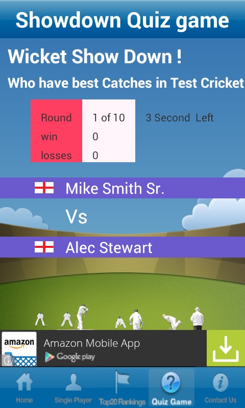 Wickets Lite截图3