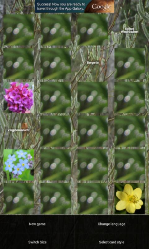 Spring Flowers: Memory (Free)截图3