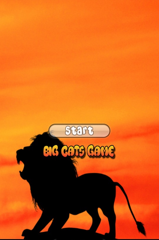 Free Big Cats Game截图3