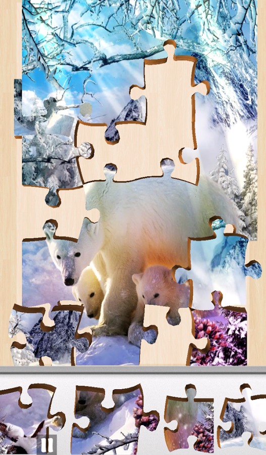 Live Jigsaws - Winterland Free截图2