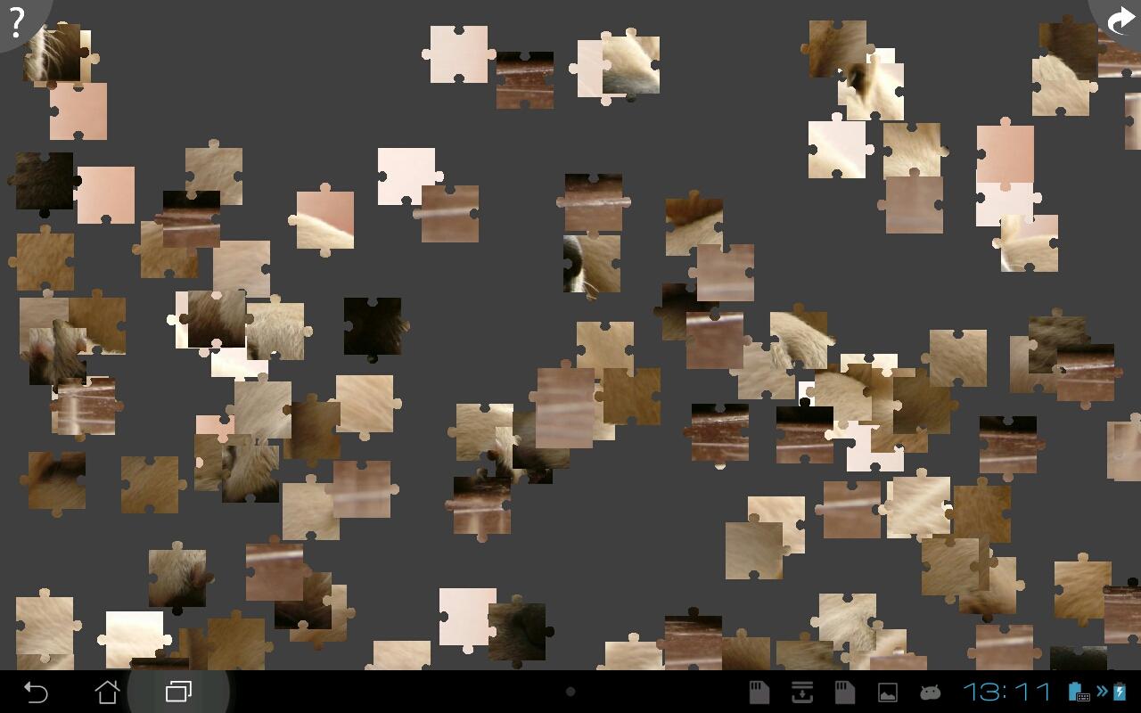 Dogs Jigsaw Puzzles截图3