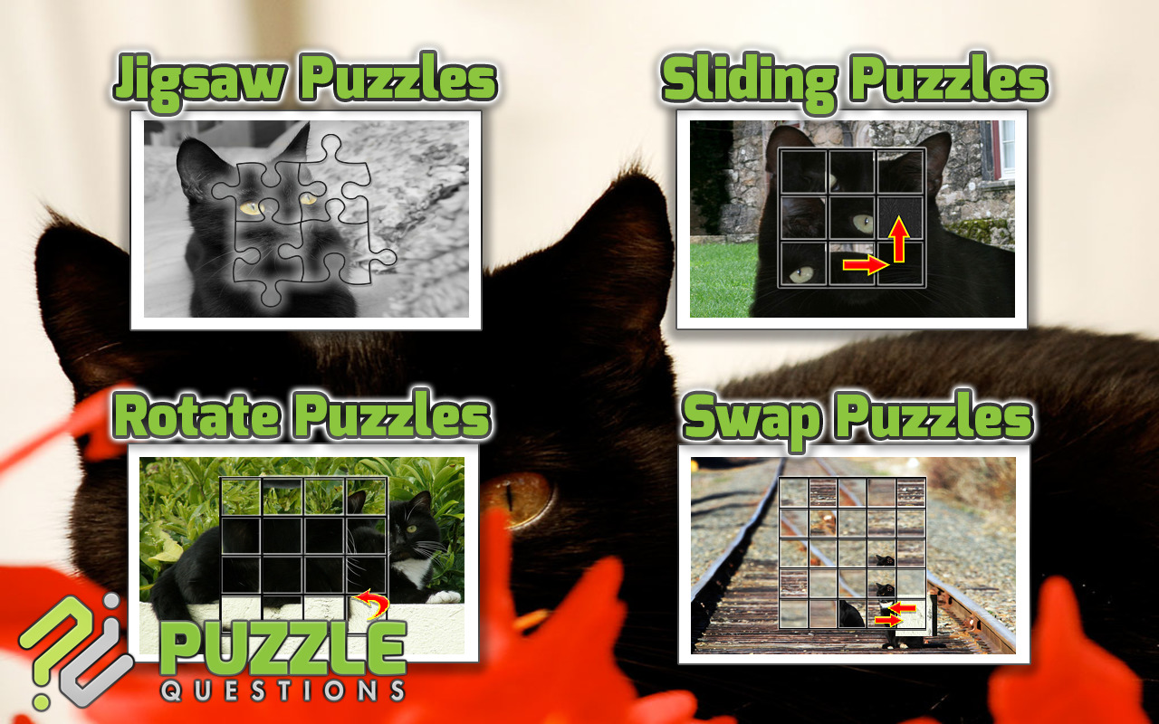 Free Black Cat Puzzles截图2