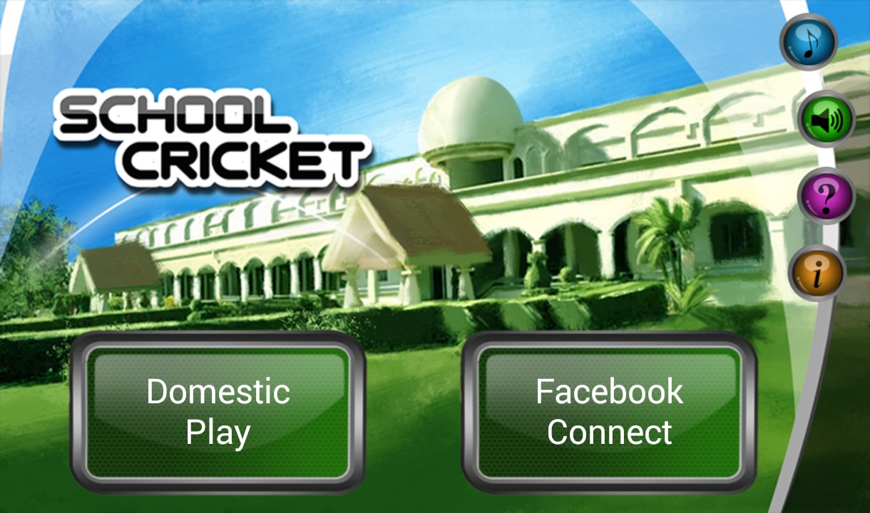 School Cricket截图1