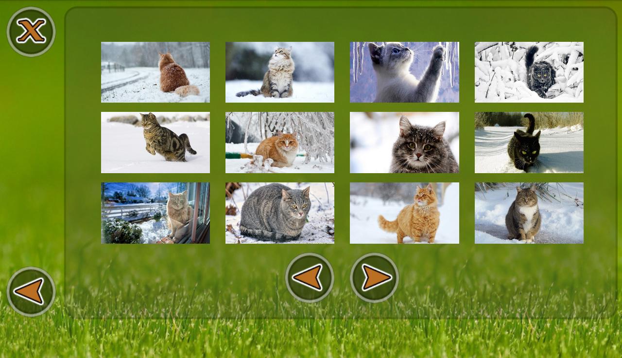 Cats Puzzle截图3