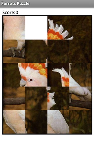 Parrots Puzzle截图3