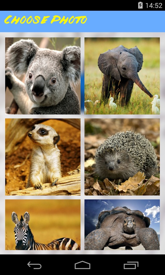 Animals Jigsaw Puzzle截图1