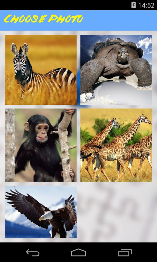 Animals Jigsaw Puzzle截图2