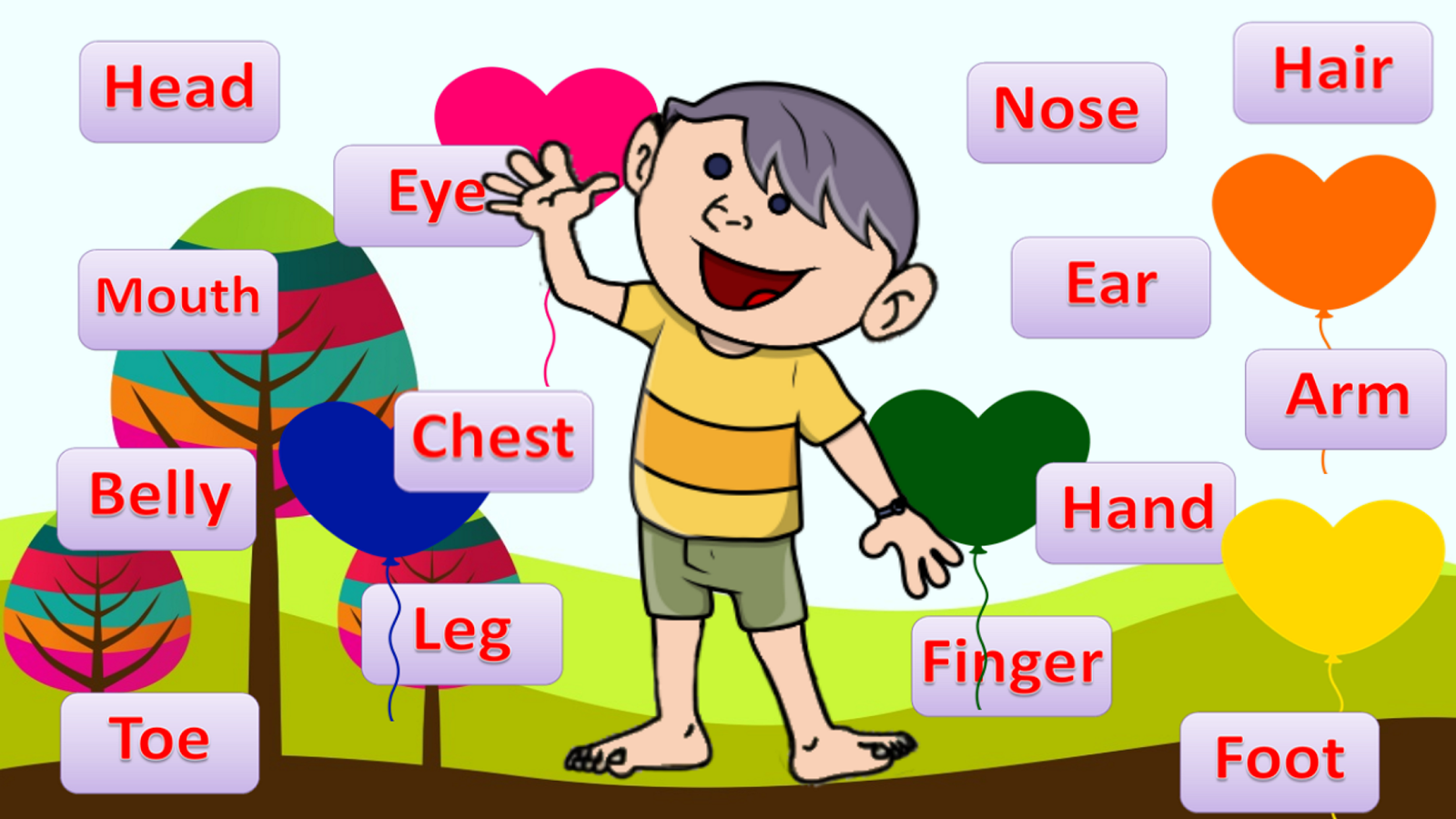 Learn Body Parts English截图3